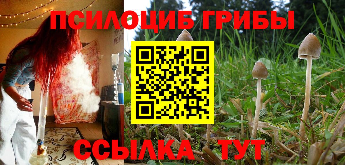 Псилоцибиновые грибы мухоморы Лангепас